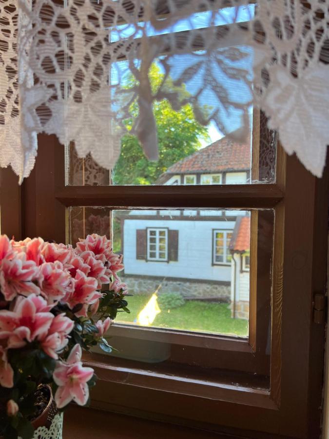 Apartament W Xix-Wiecznym Spichlerzu Nad Jeziorem Z Dostepem Do Parku I Widokiem Na Dworek Modrzewiowy Z 1823 Roku Szteklin Exteriör bild