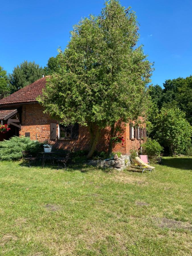 Apartament W Xix-Wiecznym Spichlerzu Nad Jeziorem Z Dostepem Do Parku I Widokiem Na Dworek Modrzewiowy Z 1823 Roku Szteklin Exteriör bild